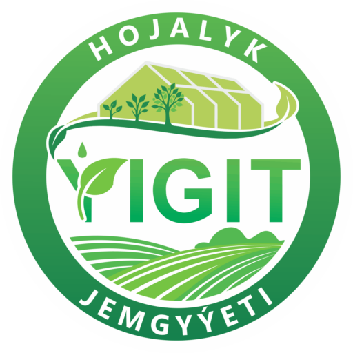 Yigit logo